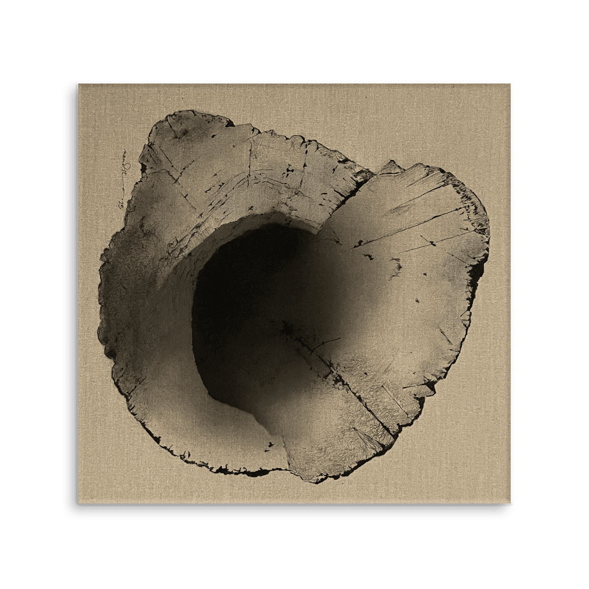 Contour of Memory - 2