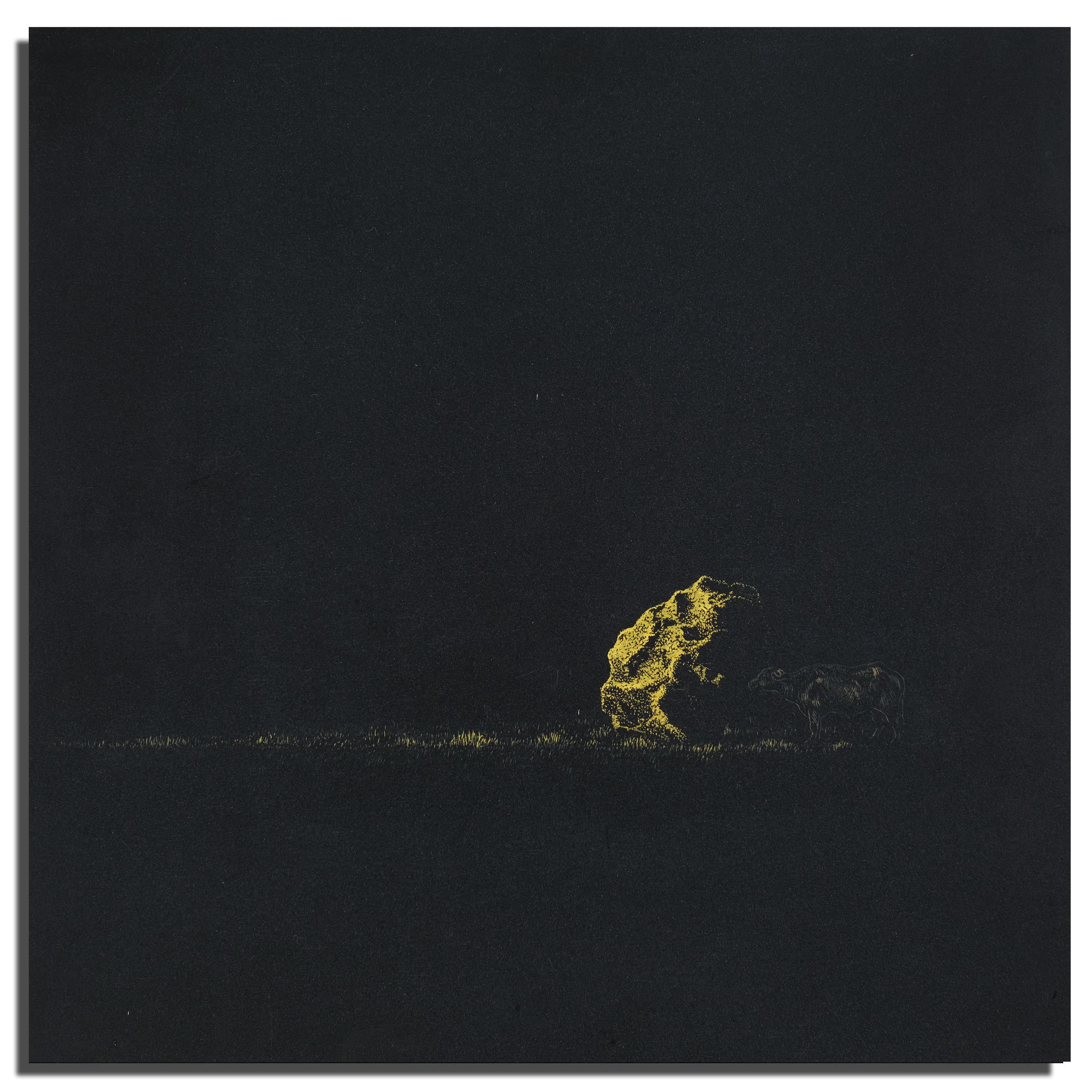 The Price of Light