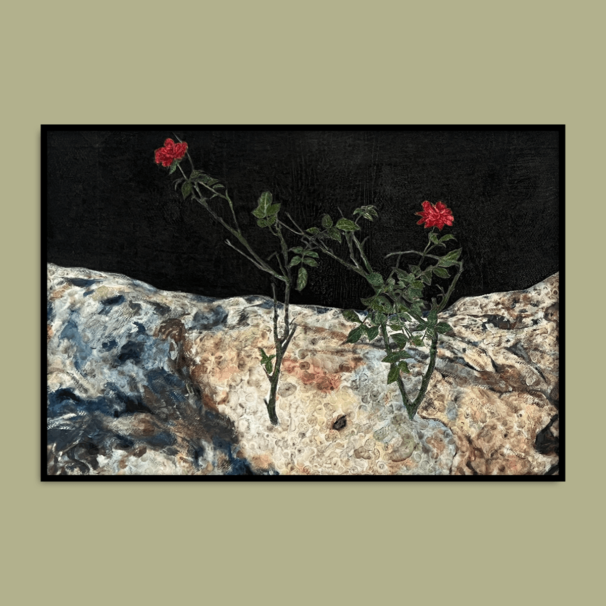Unplanted Rose