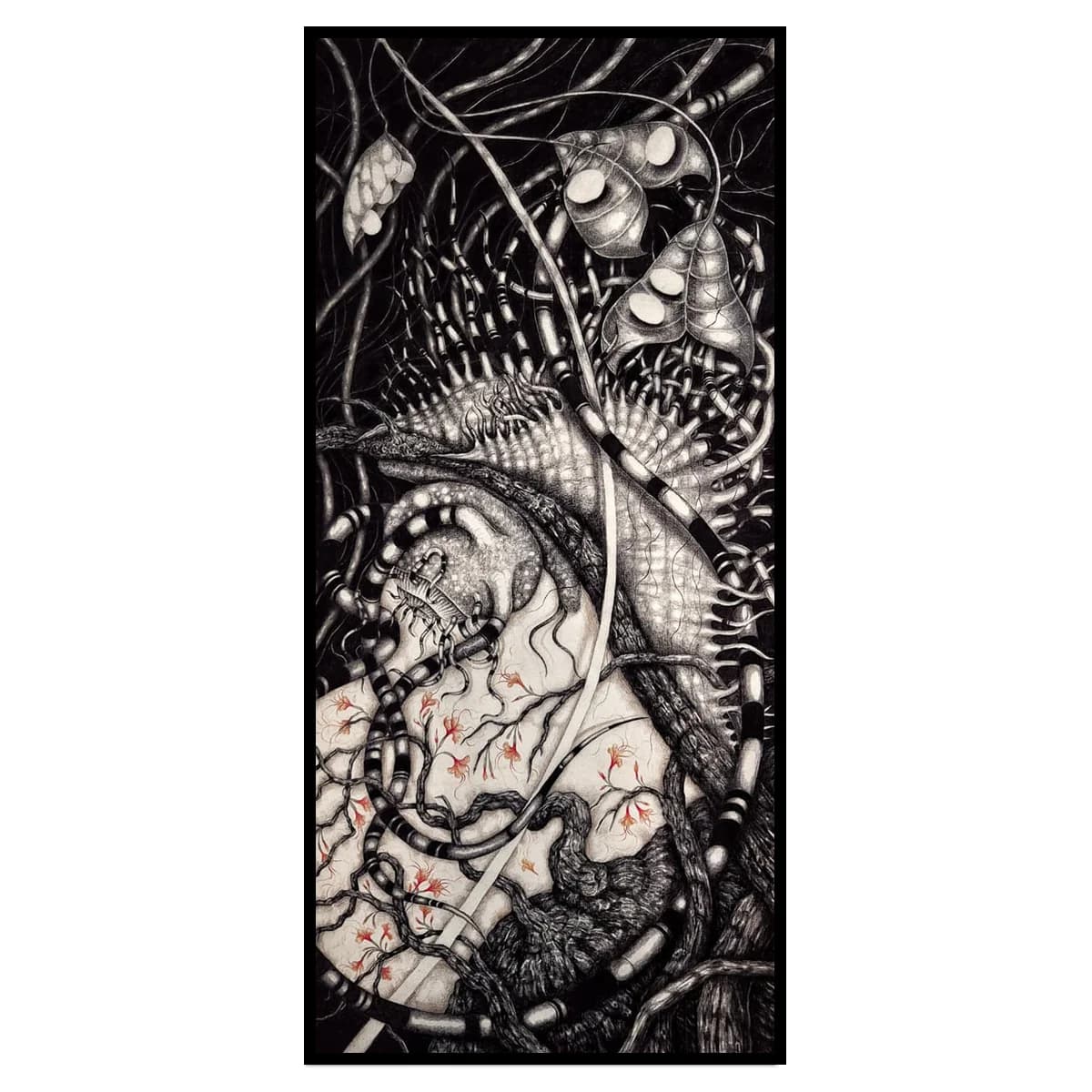 The Snail (Silent Stories Series)