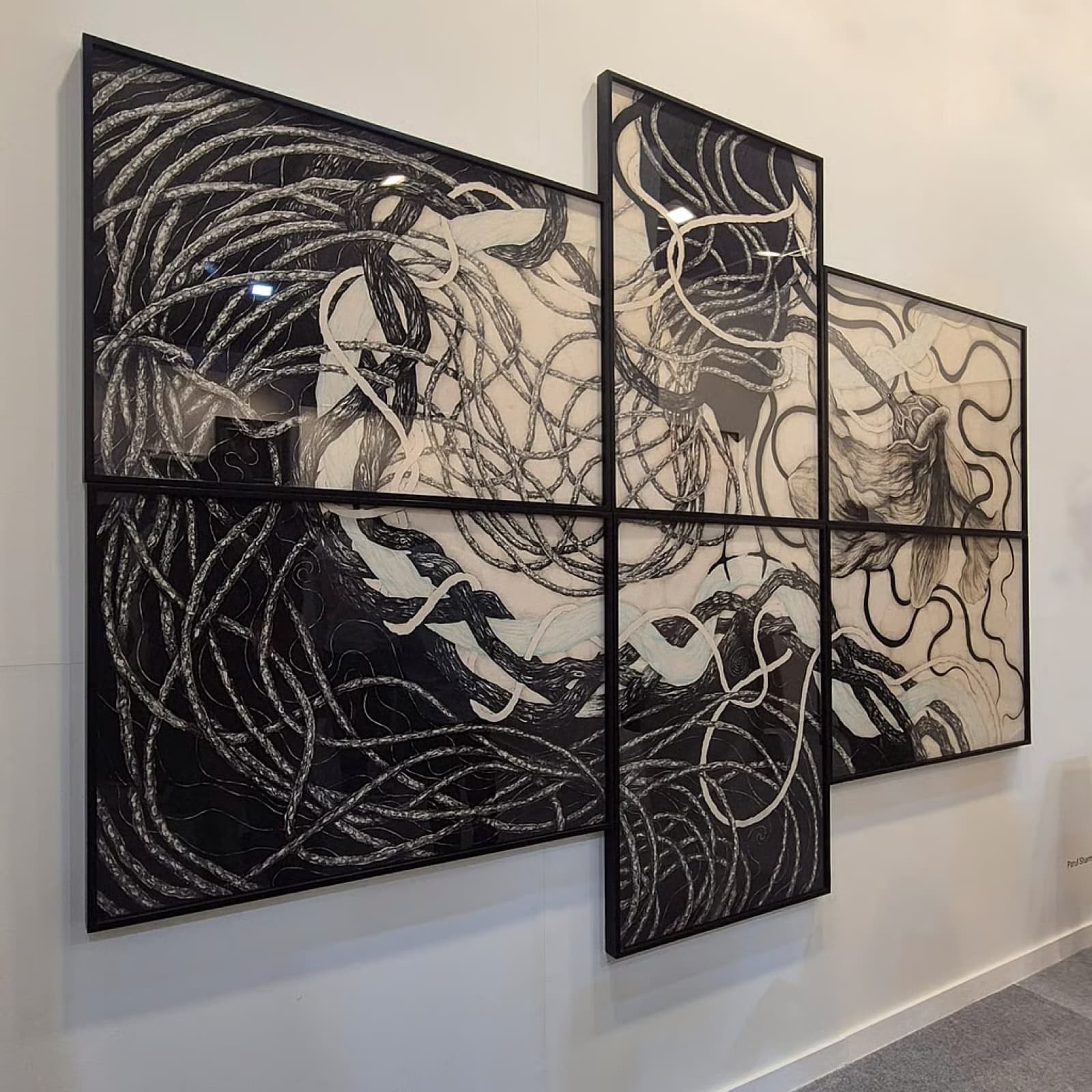Metamorphosis on Paper